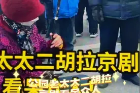 公园二胡：老太太二胡拉京剧看呆众人，雷住了公园的大爷视频封面