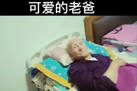 可爱的老爸视频封面