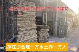 192老挝特有的现象卖竹子当建材，存在即合理一方水土与中国差异视频封面