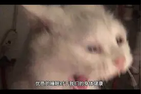 总是凌晨三四点醒来是什么原因？若想改善，不妨试试这几个方法视频封面