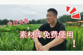 今日头条的素材库，免费使用了，收益蹭蹭的涨。视频封面