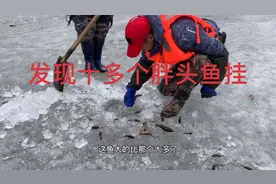 大东北户外打野水库捕鱼抓鱼，你见过活在冰里的鱼群吗？老头鱼！视频封面