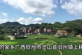 我的家乡广西钦州市灵山县旧州镇上耕村！一个绿悠悠的小山村赖氏视频封面