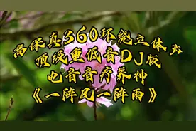 高保真360环绕立体声，顶级重低音DJ版电音音疗一阵风一阵雨视频封面