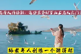 老年人的福利，这些景区65岁以上老人免门票！视频封面