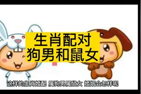这样的生肖婚配，属狗男+属鼠女，婚姻会怎样呢？视频封面