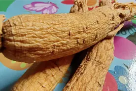 “人参”这样搭配“不上火”，补气血还“翻倍”又好喝，收藏了！视频封面