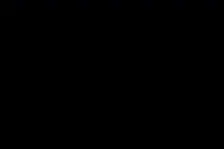 植物大战僵尸2下一集教你们怎么下载？