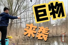 朋友说这有二十多斤的鲢鳙，把十号线都给用上生怕切线，结果……