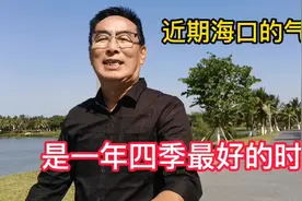 近期海口的气温，是一年四季最好的时节。视频封面