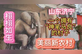 山东济宁，美丽新农村，农村小伙画的立体墙画太惊艳了！视频封面
