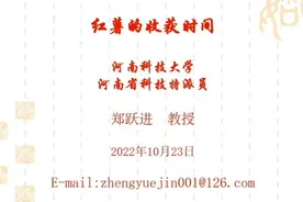 红薯的收获时间视频封面