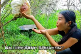 野外生存2:起锅烧油，铁锅炖野鸡，看着真馋人啊视频封面