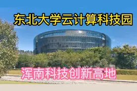 东北大学建设云计算科技园，未来浑南地区的科技创新高地，很棒。视频封面