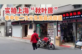 实拍上海秋叶原，二次元氛围最浓地点、市中心老街道改造后现状视频封面