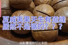 夏威夷果上的缺口到底是不是锯的，让我们一起看下视频封面