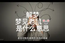 解梦，梦到老鼠是什么意思视频封面