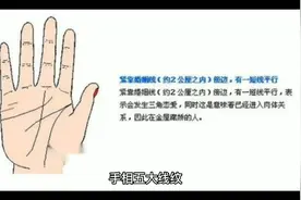 手相五大线纹@DOU+小助手 @中视频伙伴计划官号视频封面
