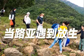 香港水库路亚遇到“菩萨”放生泥鳅，引来一群翘嘴视频封面