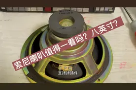 索尼双磁铁喇叭！