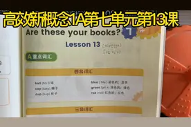 高效新概念1A第七单元第13课视频封面