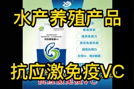 水产养殖产品——抗应激免疫VC视频封面