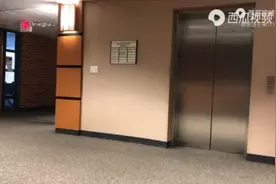 怀孕阵痛跟拍视频封面