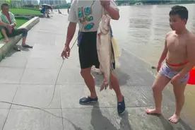 南宁邕江，大叔撒一网，捕到一条5斤重翘嘴鱼，现场卖50块一斤视频封面