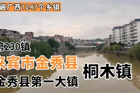 第230镇：来宾市金秀县桐木镇#金秀县第一大镇视频封面