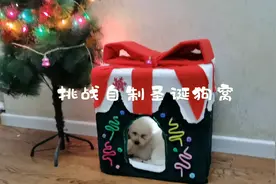 挑战自制圣诞狗窝 超详细教程来啦