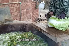 鸡吃熟食有什么好，农场主为什么不怕麻烦，天天煮熟食喂鸡视频封面