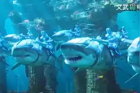 史前海族馆视频封面