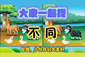 （测一测眼力）大家一起找不同。来测测你的眼力吧～视频封面
