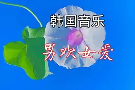 韩国音乐《男欢女爱》＃动态简谱视频封面