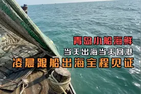 凌晨跟船出海实拍青岛小船海鲜捕捞：夫妻接力忙活10小时赚100多视频封面
