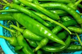 在家腌制泡椒最简单的方法，酸辣脆爽，放一年都不会坏视频封面