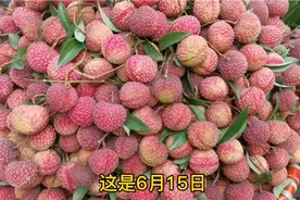 荔枝还可以这样保鲜？放30天也不会坏，新鲜荔枝天天吃视频封面