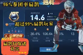 扁鹊96%参团率，14.6分KDA，超过99%扁鹊玩家评分。视频封面