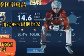 扁鹊96%参团率，14.6分KDA，超过99%扁鹊玩家评分。视频封面