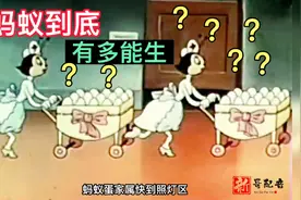 搞笑配音：蚂蚁生蛋全过程，到底有多能生，简直太离谱视频封面