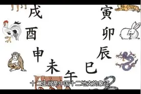 十二生肖的“开运花”都有什么？视频封面