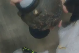 你知道什么是快了么？视频封面