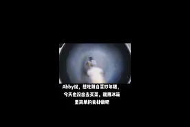 江西版辣白菜炒年糕😊视频封面