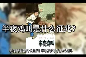 半夜鸡叫是什么征兆？视频封面