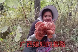 广西媳妇就是嘴甜，为了哄一宁采蘑菇可劲夸，幸福胖就是这样来的视频封面
