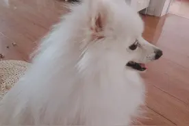 你长得真好看