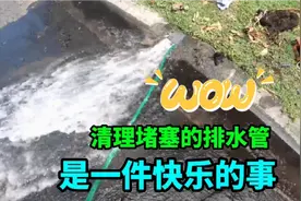 棕榈树入侵排水管造成堵塞，业主对它真是又爱又恨，原来算漏它了视频封面