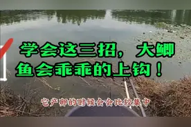 学会这三招，大鲫鱼会乖乖的上钩 ！