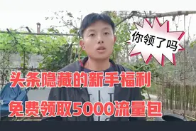 头条送给新手的隐藏福利，每个人可以获得5000流量包，你领取了吗视频封面