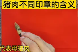不要买错了，猪肉不同印章的含义，值得了解视频封面